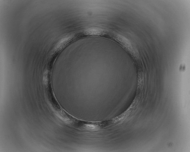 X0000097290167200802291759