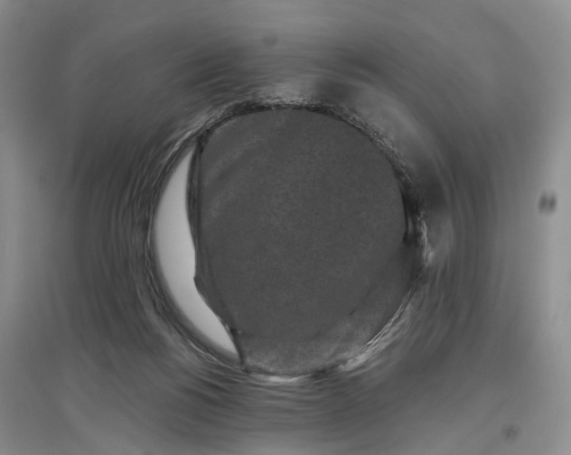 X0000097290168200802291759