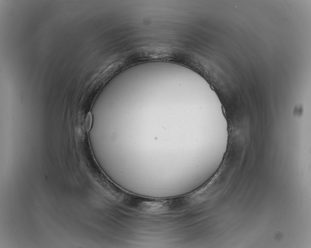 X0000097290170200802291759