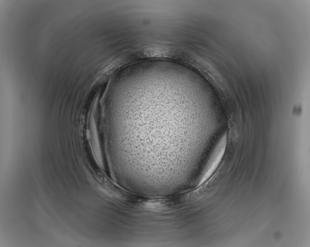 X0000097290171200802291759