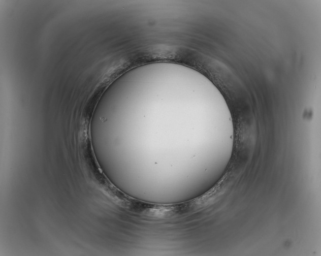 X0000097290172200802291759
