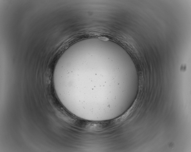 X0000097290174200802291759