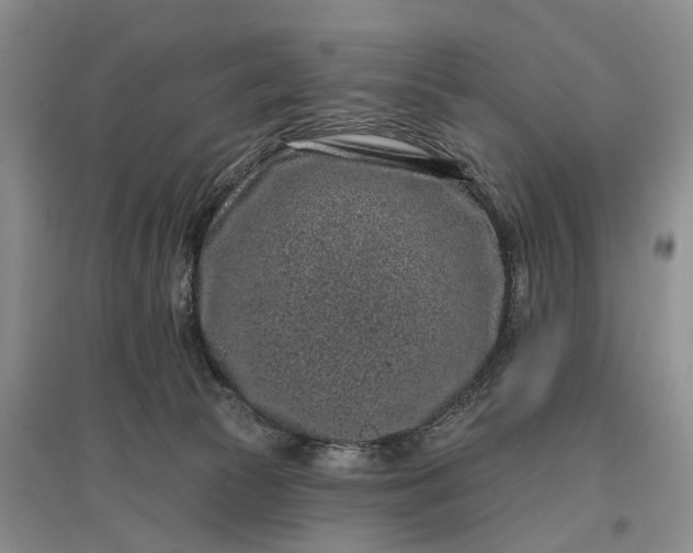 X0000097290177200802291759