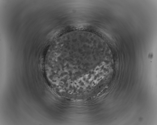 X0000097290181200802291759