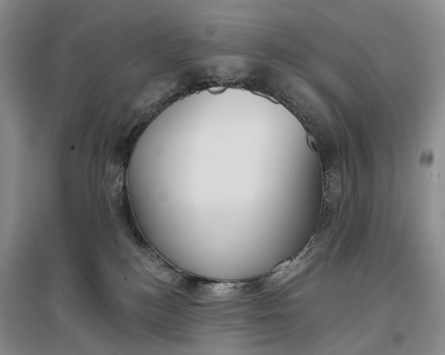 X0000097290184200802291759