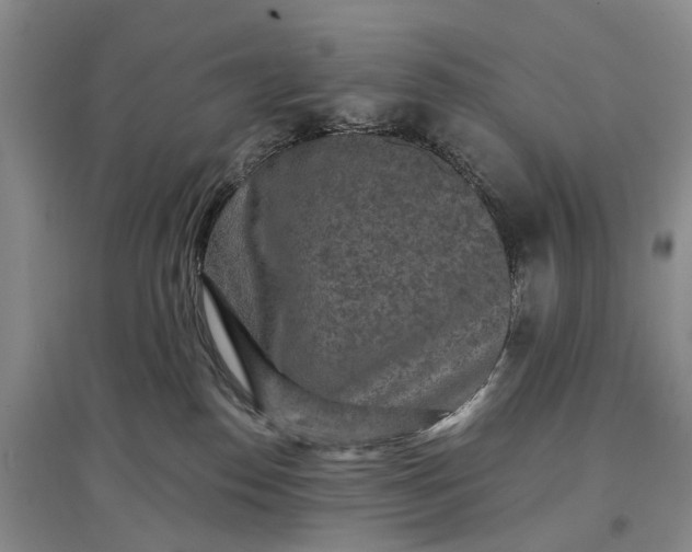 X0000097290186200802291759