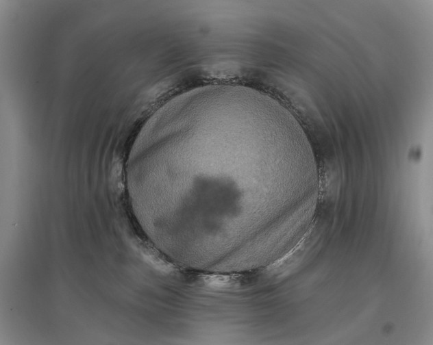X0000097290187200802291759