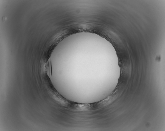 X0000097290188200802291759