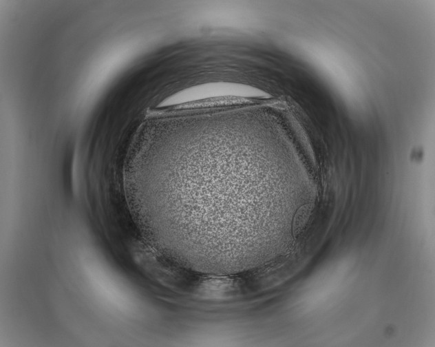 X0000097290189200802291759