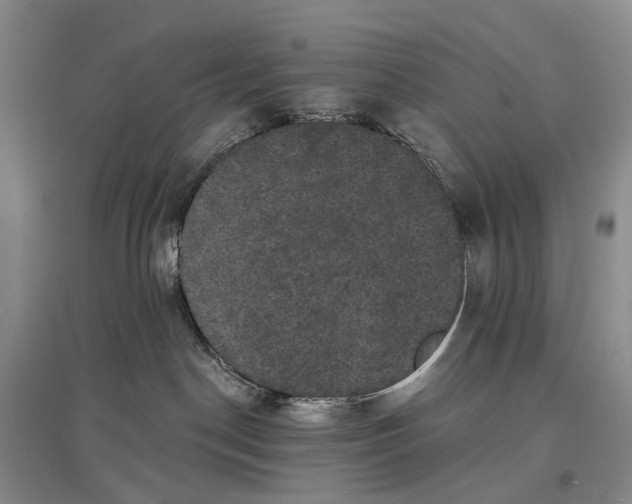 X0000097290190200802291759