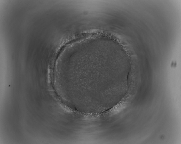 X0000097290192200802291759
