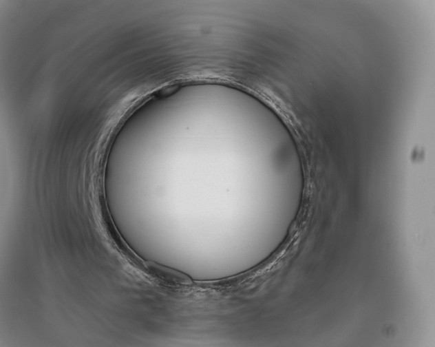 X0000097290193200802291759