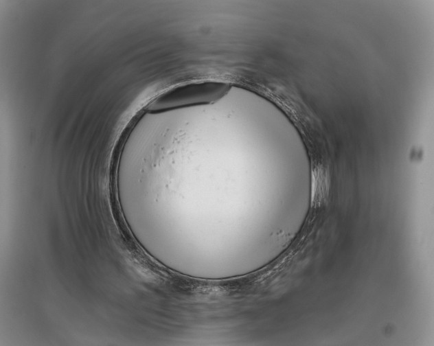 X0000097290195200802291758