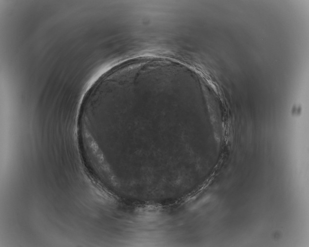 X0000097290196200802291758