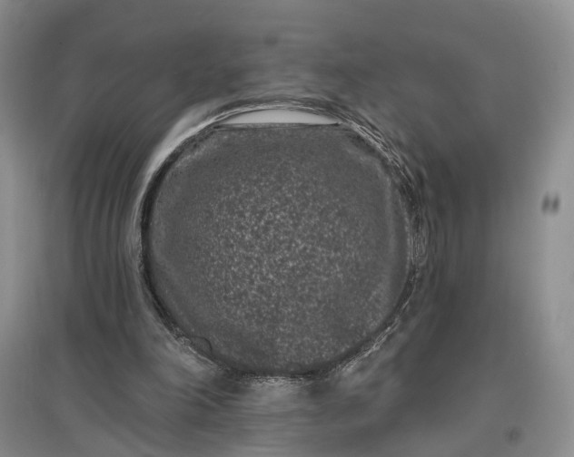 X0000097290198200802291758