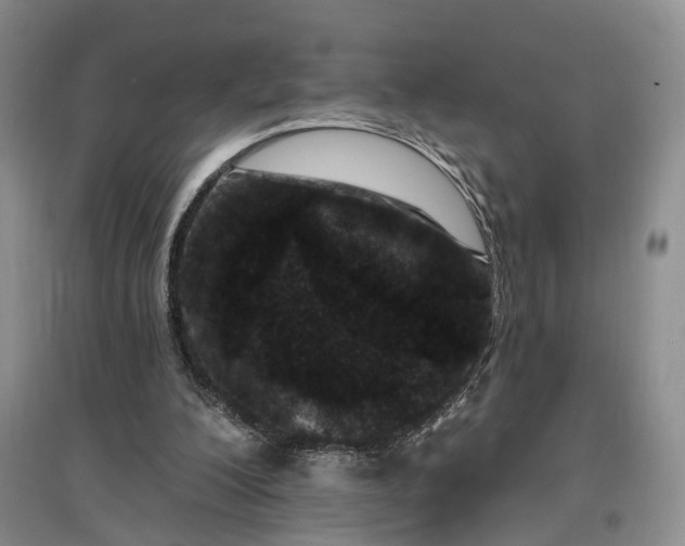 X0000097290200200802291758