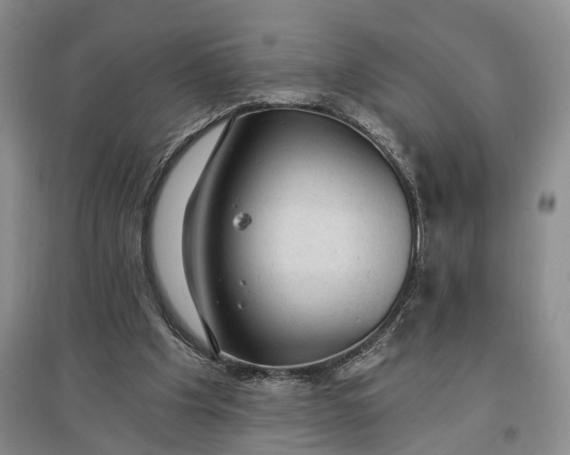 X0000097290201200802291758