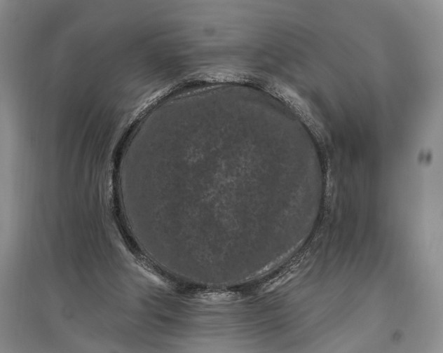 X0000097290202200802291758