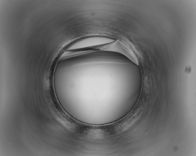 X0000097290203200802291758