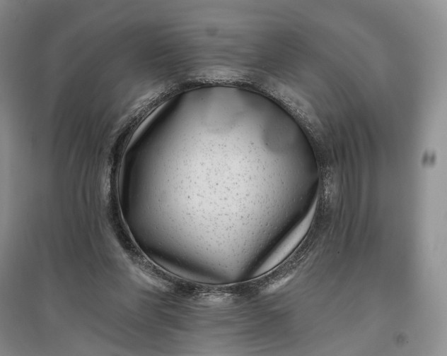 X0000097290206200802291758