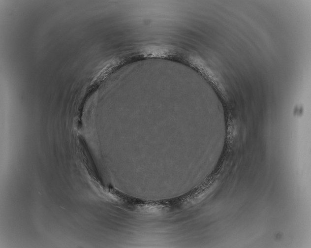X0000097290209200802291758