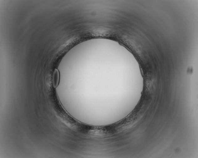 X0000097290211200802291758
