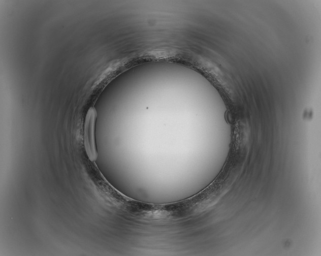 X0000097290212200802291758