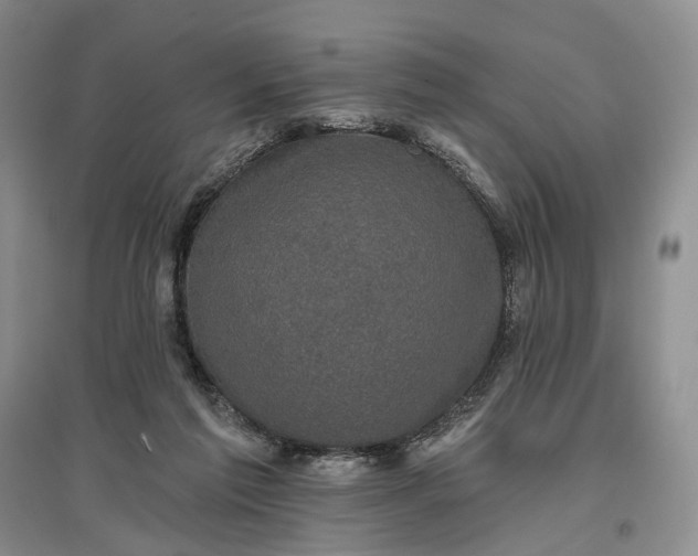 X0000097290213200802291758