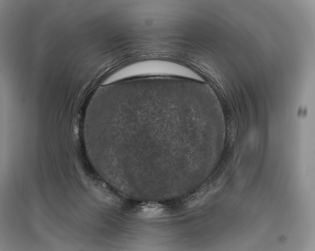 X0000097290214200802291758