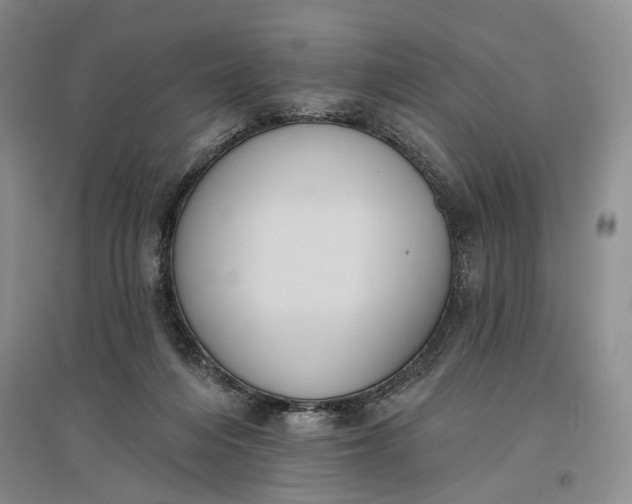 X0000097290216200802291758