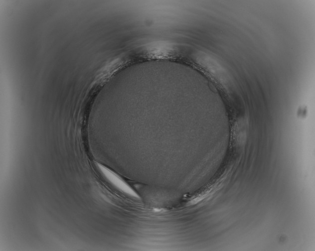 X0000097290217200802291758