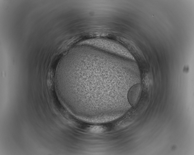X0000097290218200802291758