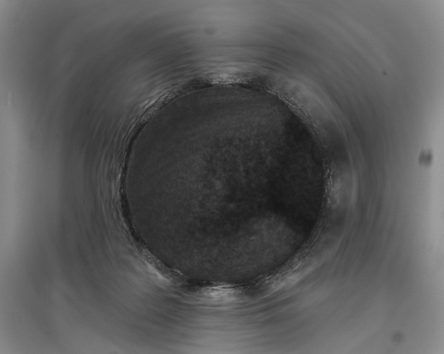 X0000097290219200802291758
