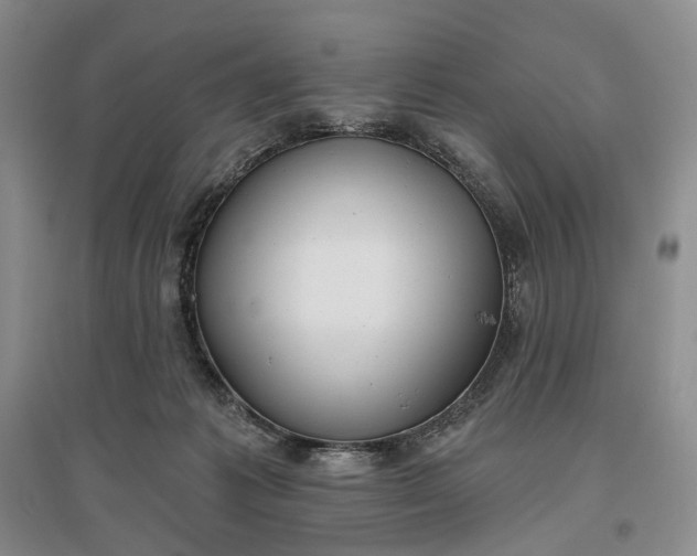 X0000097290221200802291758