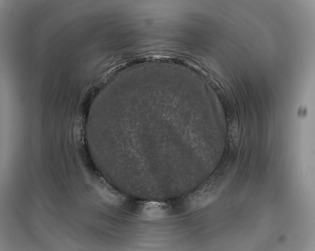 X0000097290222200802291758