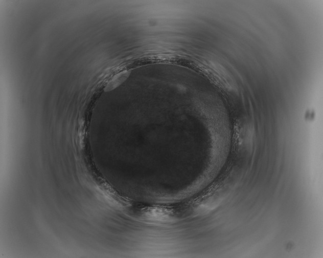 X0000097290223200802291758