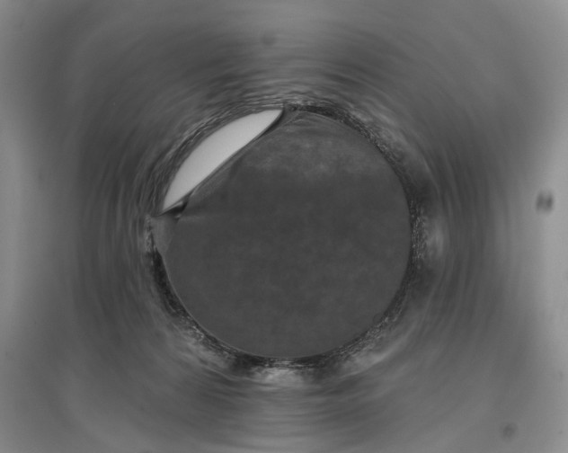 X0000097290224200802291758