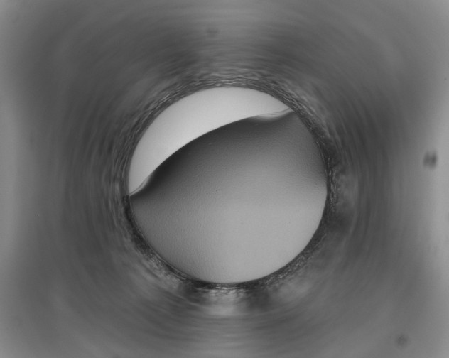 X0000097290225200802291758