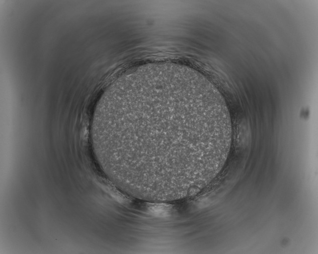 X0000097290226200802291758