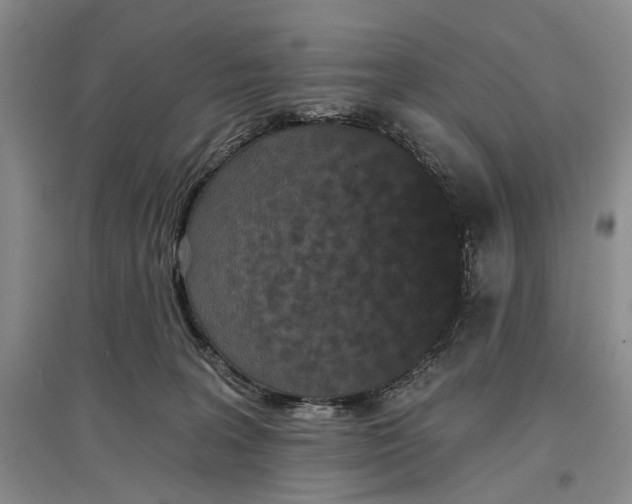 X0000097290227200802291758