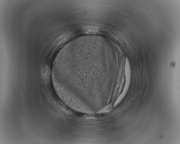 X0000097290228200802291758