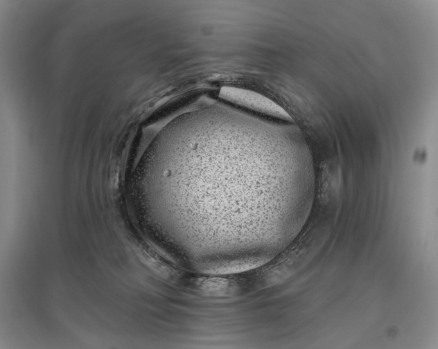 X0000097290230200802291758