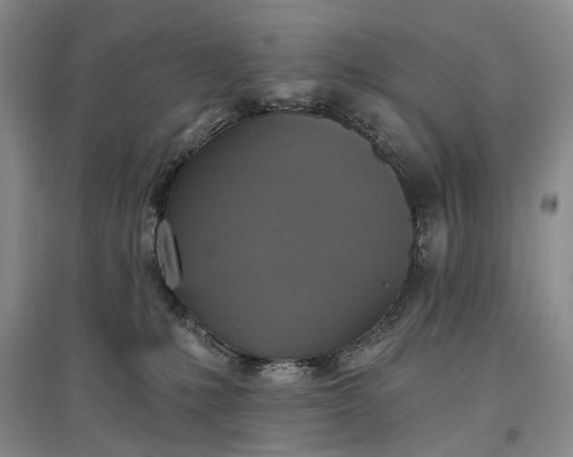 X0000097290231200802291758