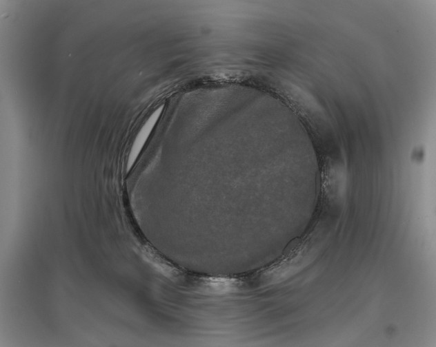 X0000097290233200802291758