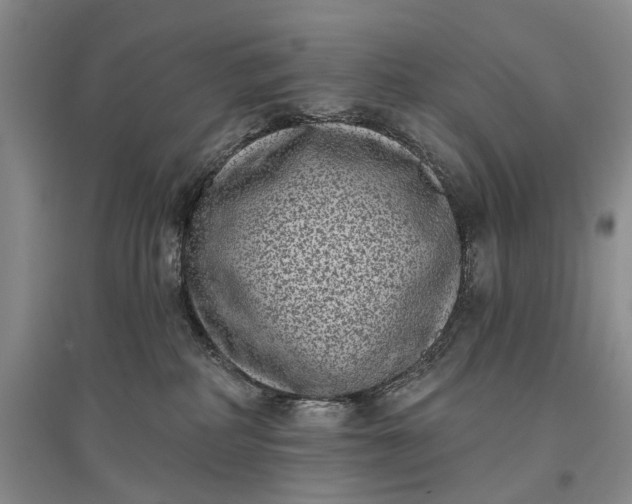 X0000097290234200802291758