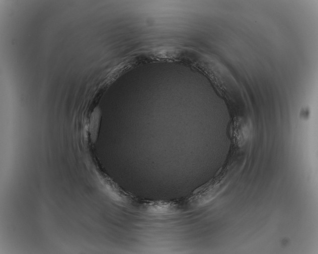 X0000097290235200802291758
