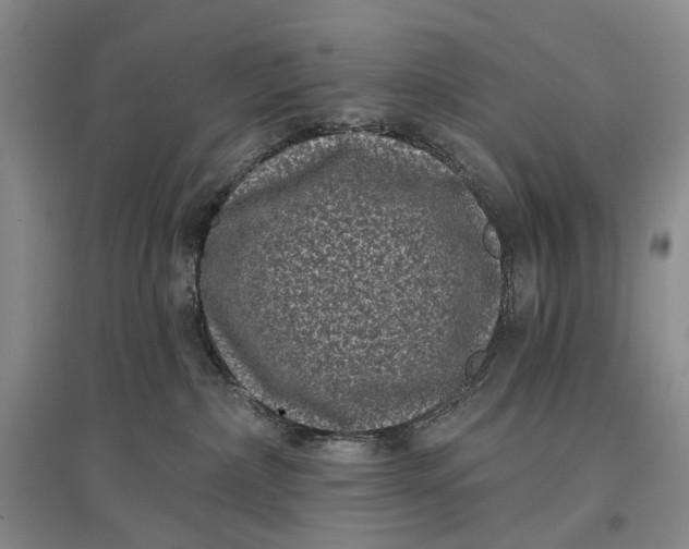 X0000097290236200802291758