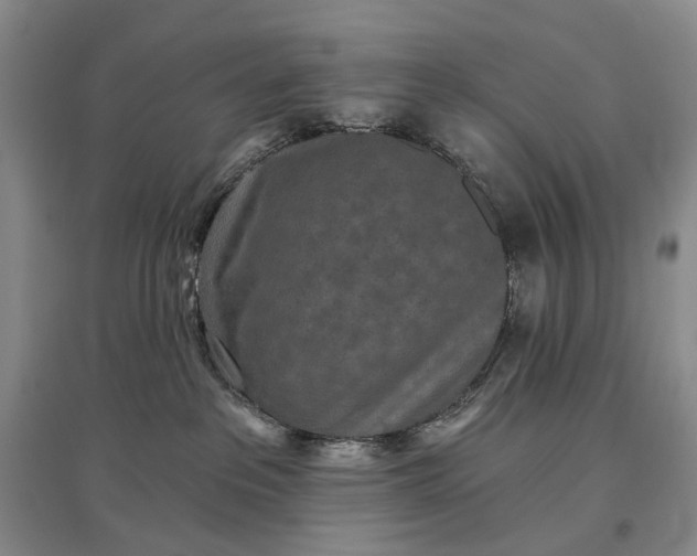 X0000097290237200802291758