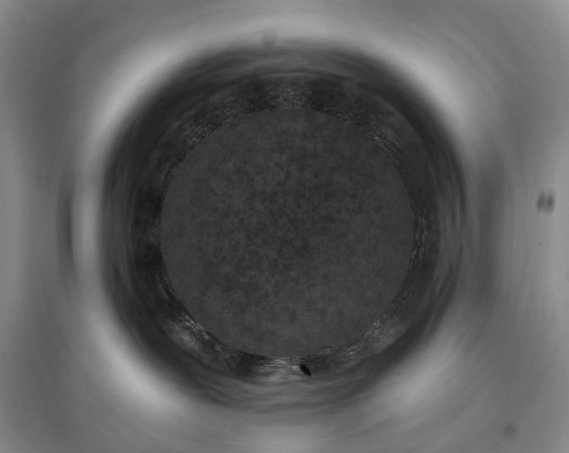 X0000097290239200802291758