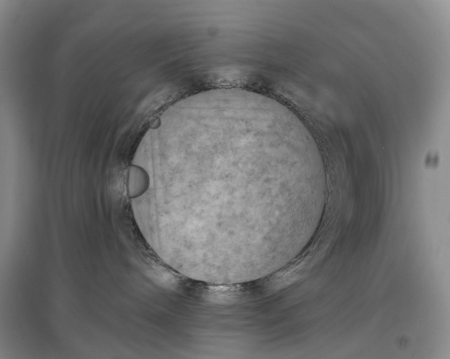 X0000097290240200802291758